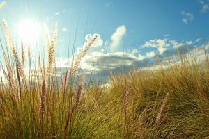 soleil d'été, parés pour la tournée de juillet